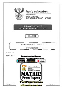 Mathematical Literacy P2 Nov 2020 Eng.pdf
